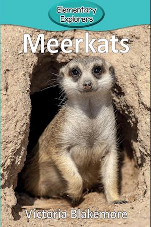 Meerkats