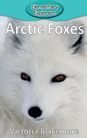 Arctic Foxes