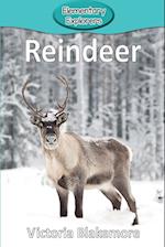 Reindeer