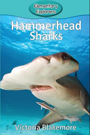 Hammerhead Sharks