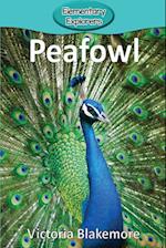 Peafowl