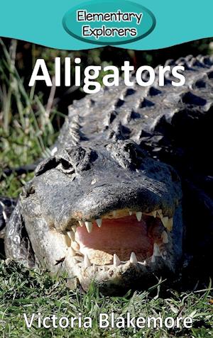 Alligators