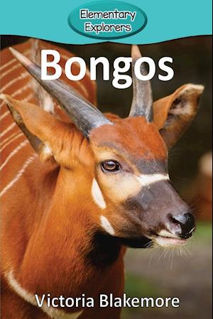 Bongos