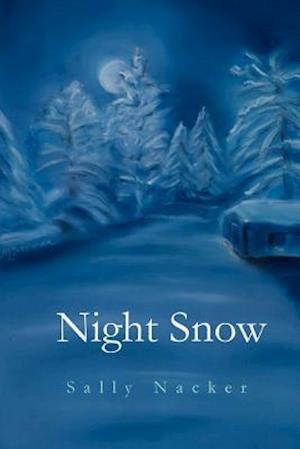 Night Snow