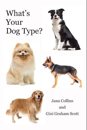 What's Your Dog Type?