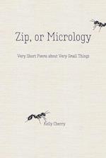 Zip, or Micrology