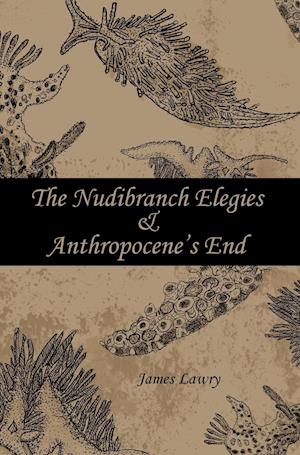 The Nudibranch Elegies Anthropocene's End