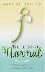There Is No Normal