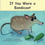 If You Were a Bandicoot 