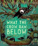 What the Crow Saw Below