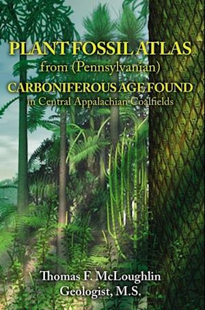 PLANT FOSSIL ATLAS from (Pennsylvanian) CARBONIFEROUS AGE FOUND in Central Appalachian Coalfields