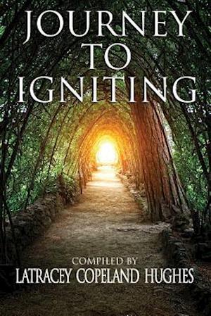 Journey to Igniting