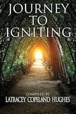 Journey to Igniting