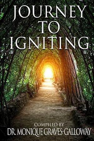 Journey to Igniting