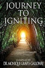 Journey to Igniting