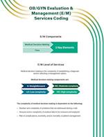 Ob/GYN Evaluation & Management (E/M) Services Coding Quick Reference Guide