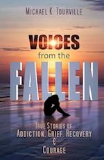 Voices from the Fallen: True Stories of Addiction, Grief, Recovery, and Courage 