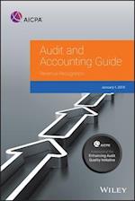 Audit and Accounting Guide