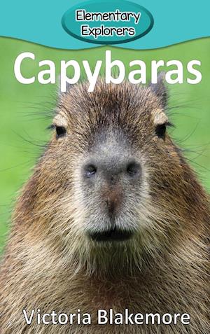 Capybaras