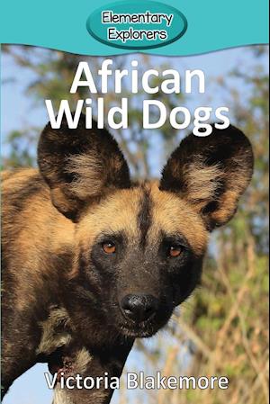 African Wild Dogs