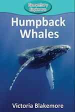 Humpback Whales