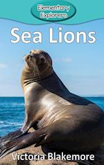 Sea Lions