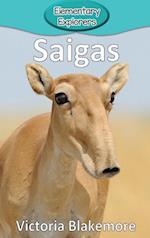 Saigas