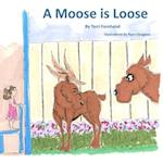 A Moose is Loose 