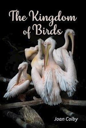 The Kingdom of Birds