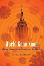 World Gone Zoom: Notes from the American Epicenter 