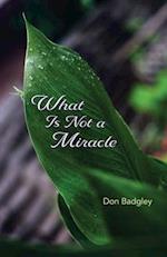 What Is Not a Miracle
