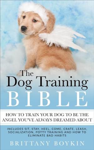 Dog Training Bible - How to Train Your Dog to be the Angel You've Always Dreamed About