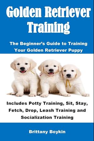 Golden Retriever Training