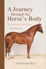 A Journey Through the Horse's Body: The Anatomy of the Horse 