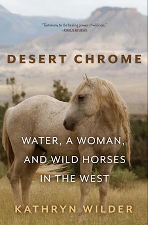 Desert Chrome