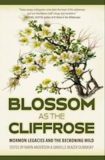 Blossom as the Cliffrose