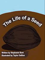 The Life of a Seed