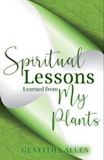 Spiritual Lessons Learned from My Plants 