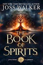 The Book of Spirits