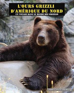 L'ours grizzli d'Amérique du Nord