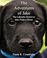 The Adventure of Jake the Labrador Retriever
