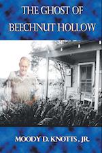 The Ghost of Beechnut Hollow
