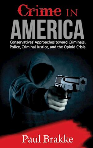 Crime in America