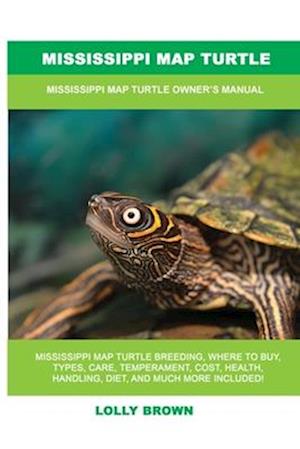 Mississippi Map Turtle