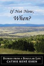 If Not Now, When?: Stories from a Singular Life 