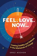 Feel. Love. Now... : Creating Stability and Wellness in the Whirlwinds of Change