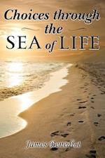 Choices Through the Sea of Life