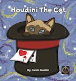 Houdini The Cat