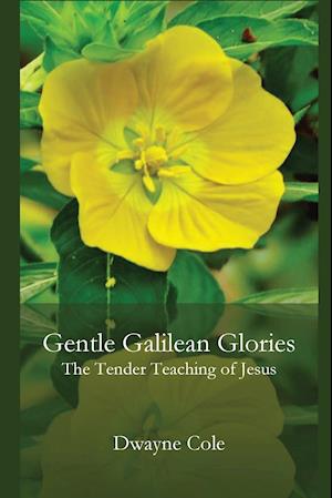 Gentle Galilean Glories