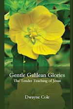 Gentle Galilean Glories